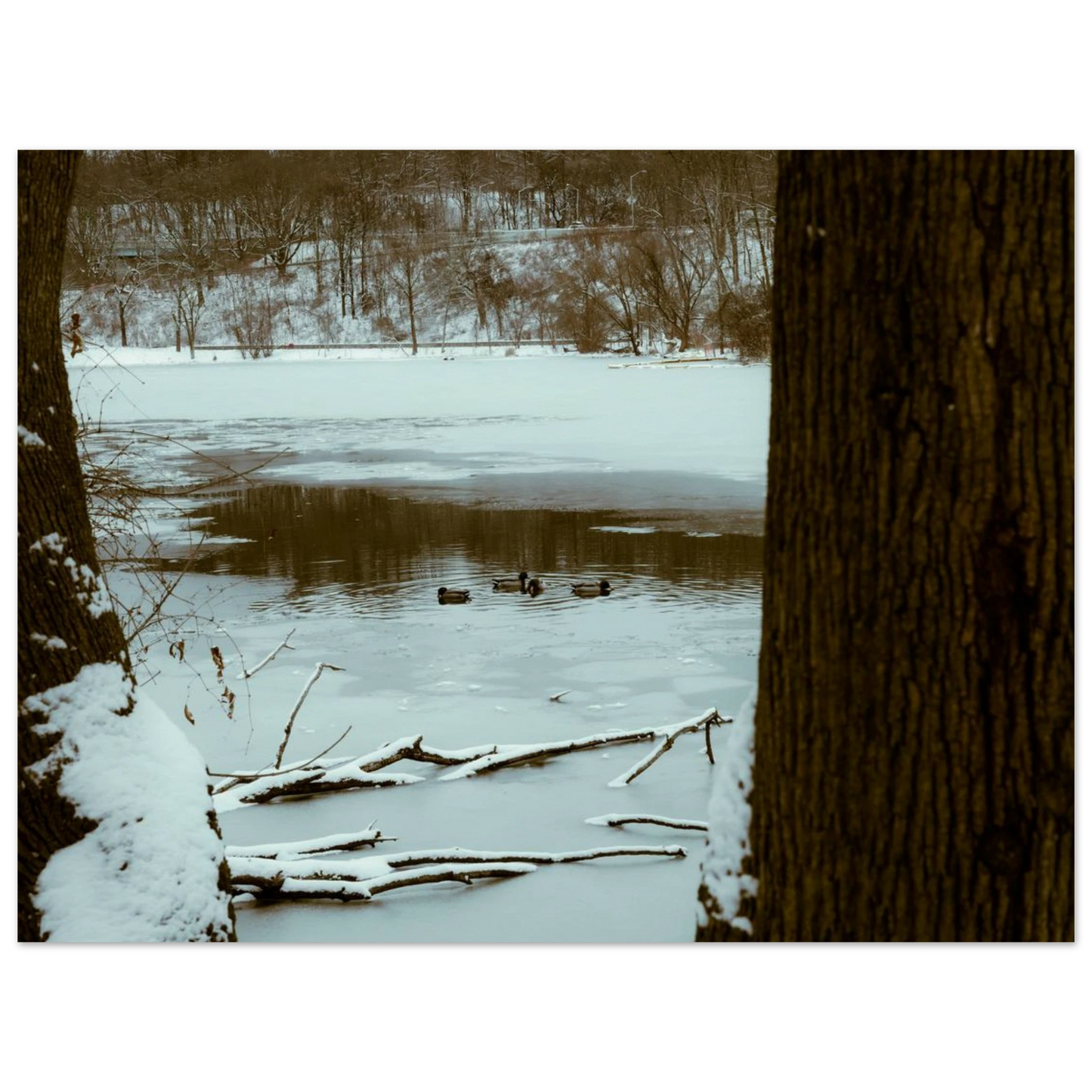 0fcfe171-640b-47e1-be62-312eee4b833a