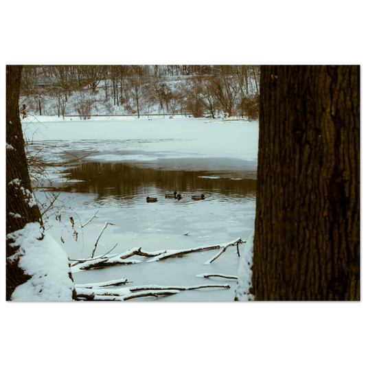 1bb4d2d8-2e5f-4b81-ba64-50046aaa47df