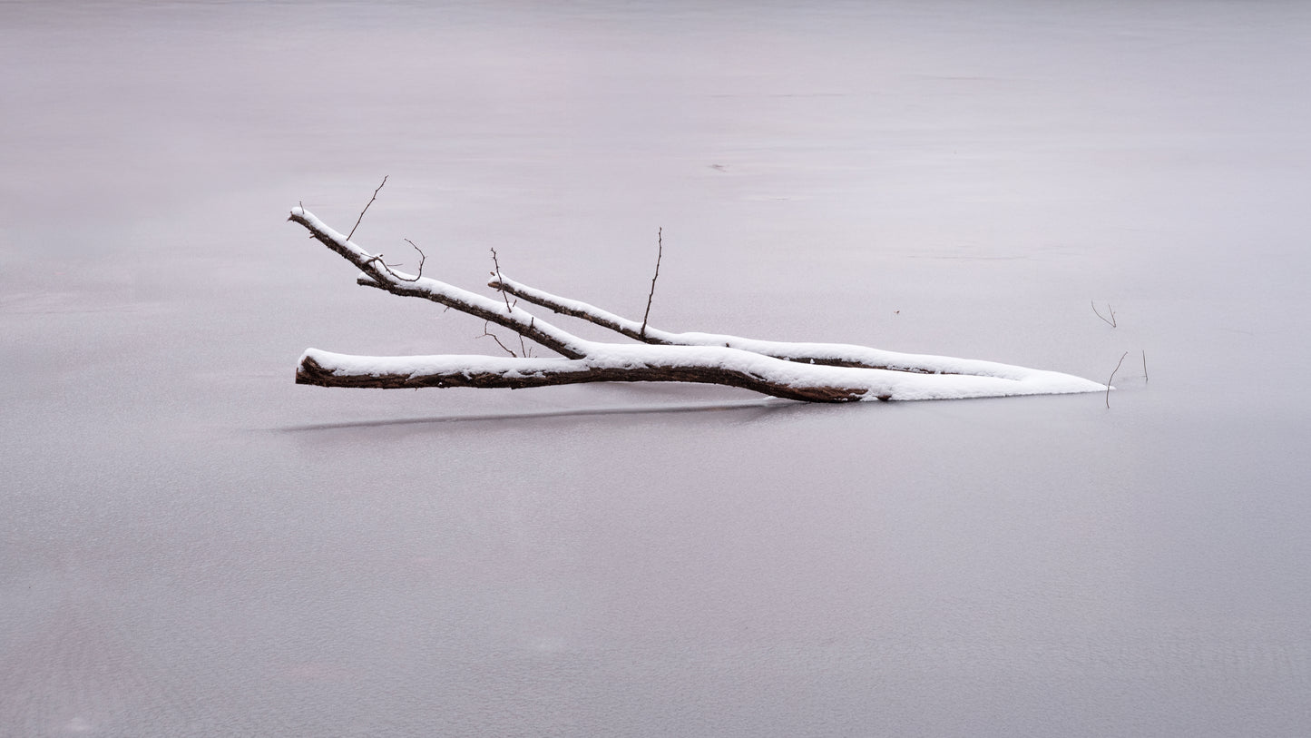 7d873567-de20-41ea-9367-65ad5b873f86