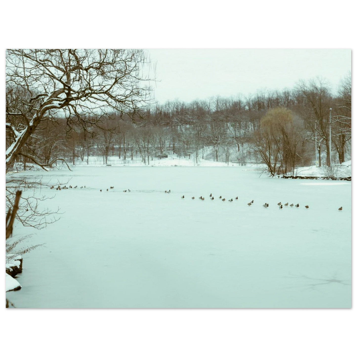 95a32cf4-4ae1-4f70-ac11-2bd3873277ef