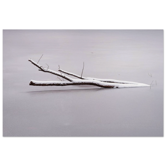 b88c404f-ef76-4e65-876c-a46a1e008e69