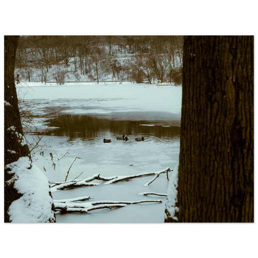 0fcfe171-640b-47e1-be62-312eee4b833a