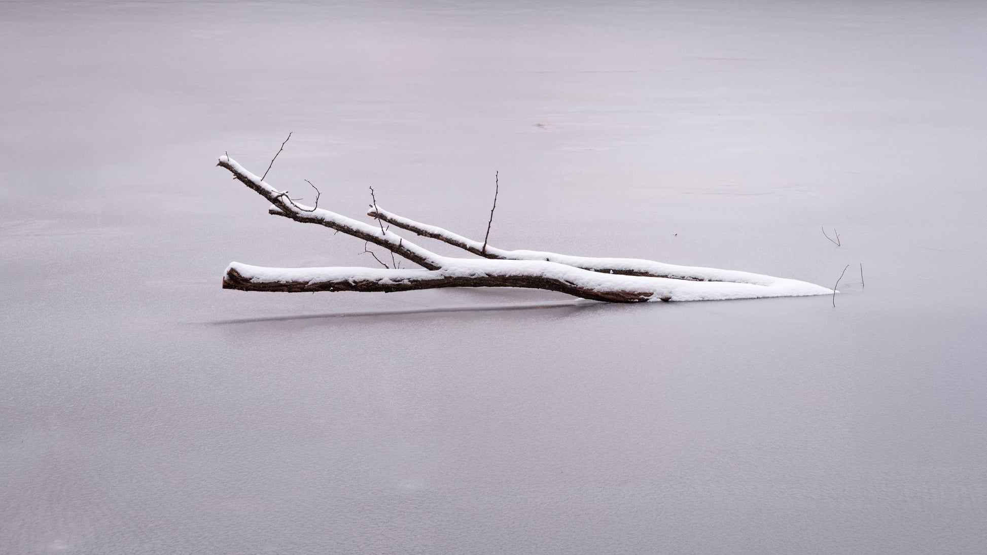 7d873567-de20-41ea-9367-65ad5b873f86