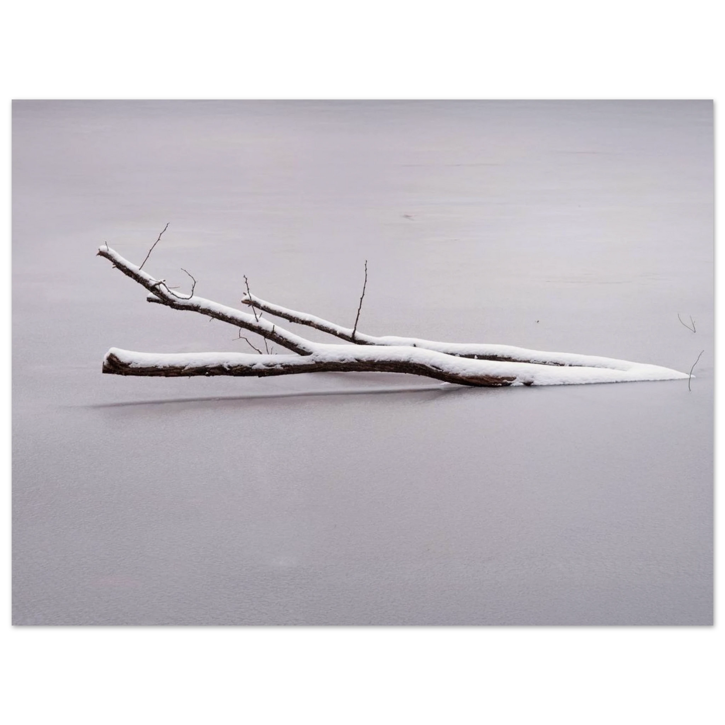 8a99927e-37cc-4aad-96a9-a3df79a176d2