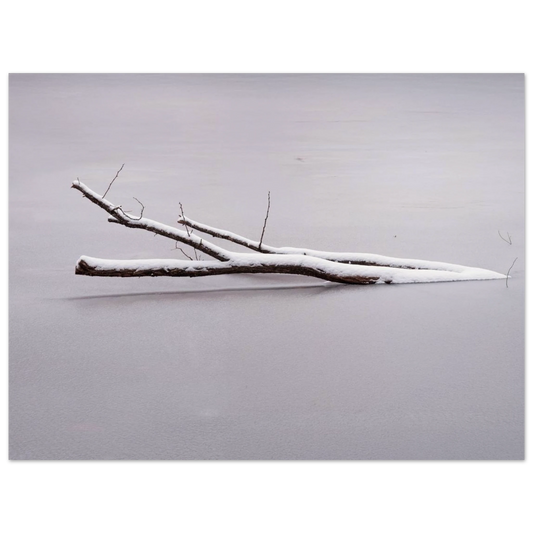 8a99927e-37cc-4aad-96a9-a3df79a176d2