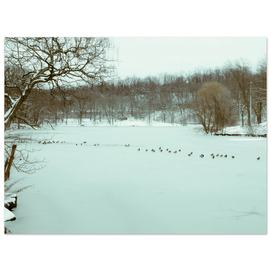 95a32cf4-4ae1-4f70-ac11-2bd3873277ef