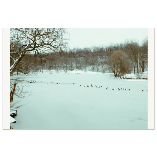 996876bc-dfaf-4807-8634-94e3514c1d30