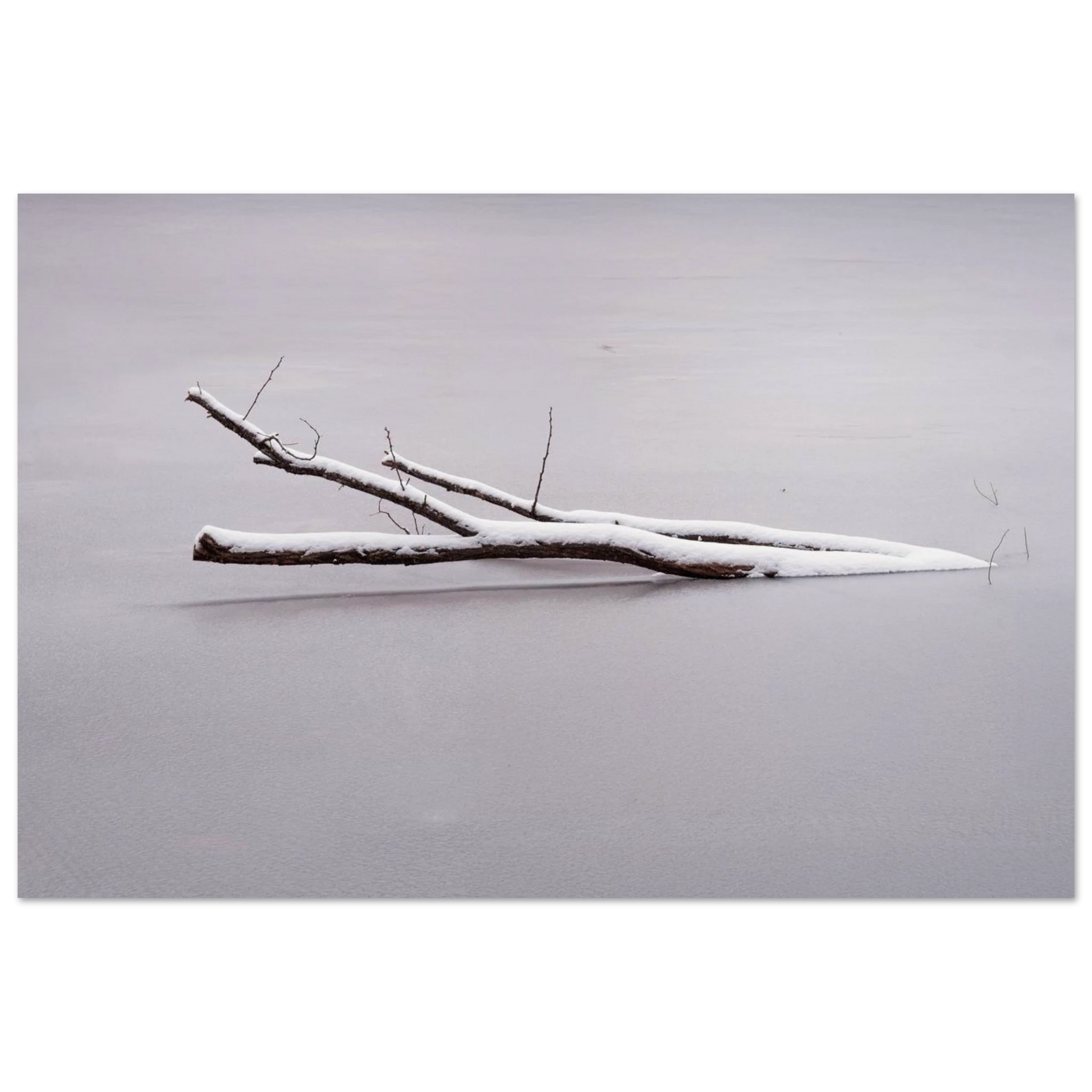 b88c404f-ef76-4e65-876c-a46a1e008e69