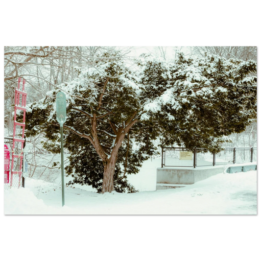 bf8ceffe-1d1e-485c-a1ef-53aafac47dcd