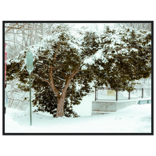 ca0a615e-457e-4f21-8016-069e2cf918d5